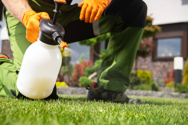 Best Bed Bug Extermination  in King, WI