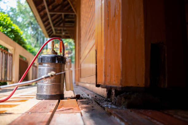 Best Wasp Removal Services  in King, WI