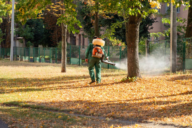 Bird Control in King, WI